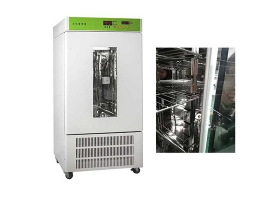 Mantenimiento fácil comercial de la incubadora del laboratorio de Digitaces/de la incubadora 80L de Labline