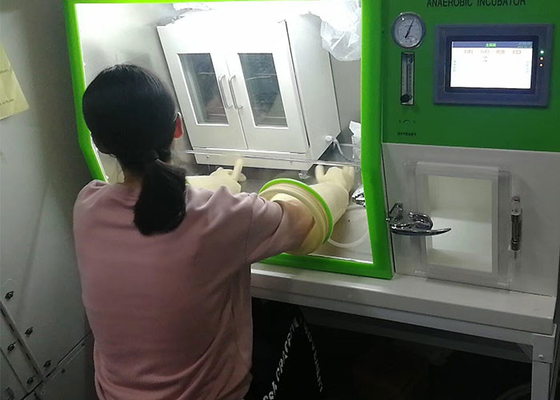 Cámara de atmósfera controlada de la incubadora anaerobia del laboratorio para la cultura LAI-3T de las bacterias
