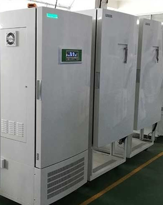 Incubadora del acero inoxidable de la prueba del TÍO, incubadora automática de la bioquímica de Digitaces