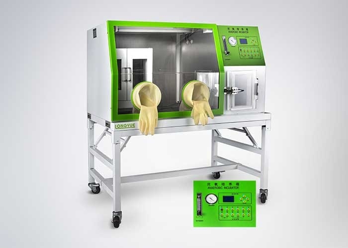 Incubadora anaerobia del laboratorio de la caja de la puerta doble para la cultura bacteriana