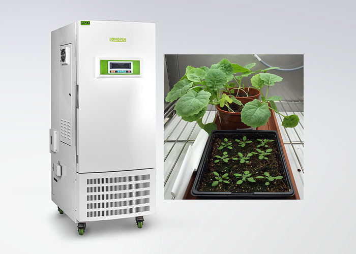 Cámara del crecimiento vegetal del control de humedad del CE para el tipo especial de la cultura de tejido vegetal